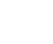 Evolution games at Winzinator Casino